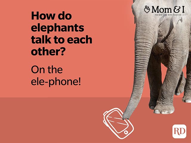 Humorous Jokes about Elephants and Ants